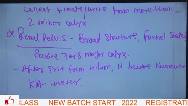 urinary system dsssb SESSION I RAMPAL SIR смотреть онлайн