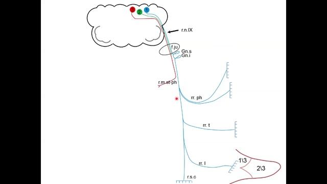 IX cranial nerve смотреть онлайн