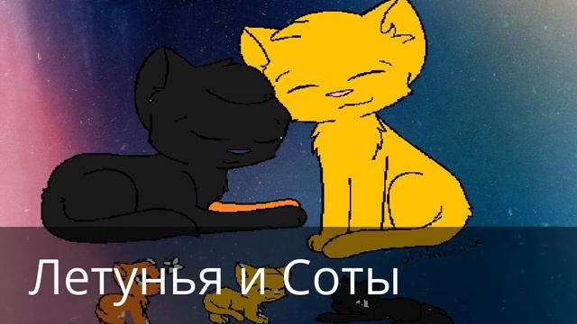 ПАРЫ кв , мои персы и не только !!!! смотреть онлайн