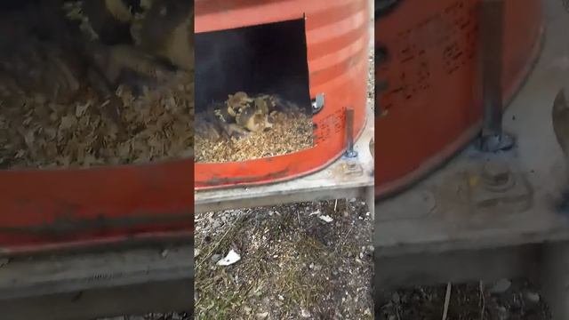 Коптильня своими руками смотреть онлайн