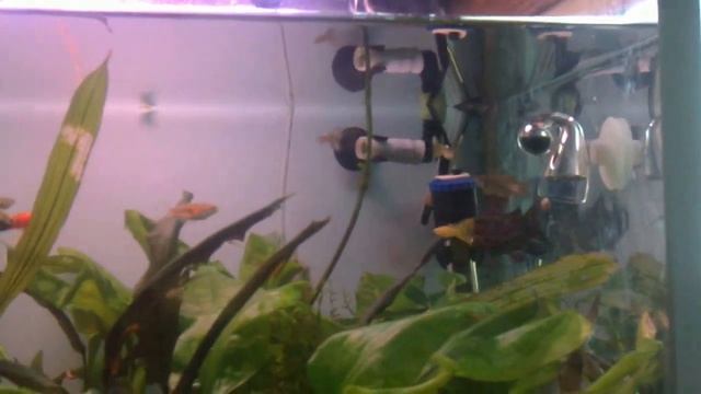 120 литра сборен смотреть онлайн