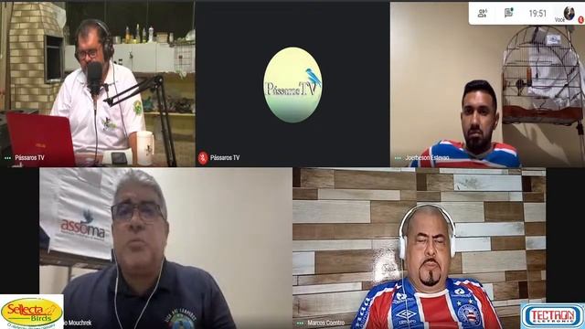 Live especial com a Liga dos Campeões | Praia Clássico Nordeste | PássarosTV (05/04/2021) смотреть онлайн