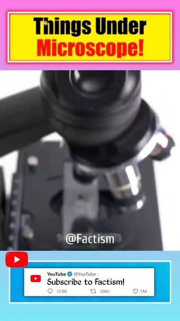 Things Under Microscope 😲 | Part 3 | @MRINDIANHACKER @CrazyXYZ #shorts смотреть онлайн