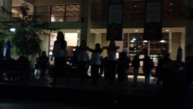 Sigma Lambda Gamma Tau Beta Chapter (Yard Show 2013) смотреть онлайн