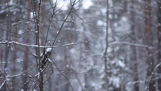 Моменты зимы смотреть онлайн