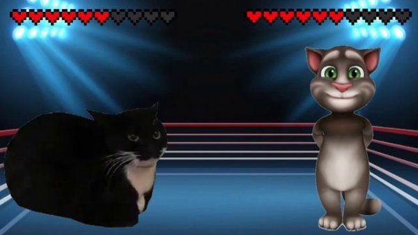 Maxwell cat vs Talking Tom! Meme battle