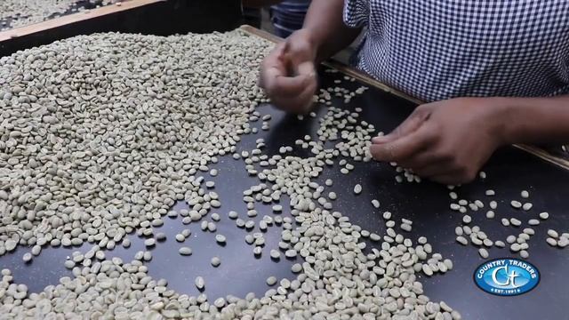 An Introduction to Country Trader's 100% Blue Mountain Coffee смотреть онлайн