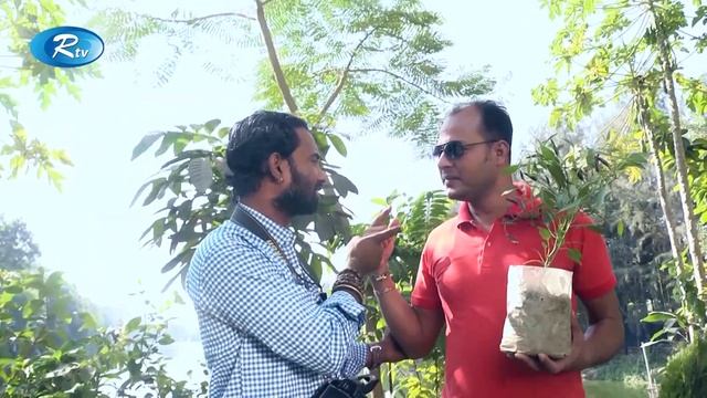 Traffic Signal | ট্রাফিক সিগন্যাল | Ep-33 | AKM Hasan, Siddikur, Nadia | Rtv Drama Serial смотреть онлайн
