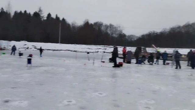 Видеоотчет с водоема смотреть онлайн