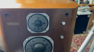 Апгрейд кроссовера Yamaha ns2000 стоит ли