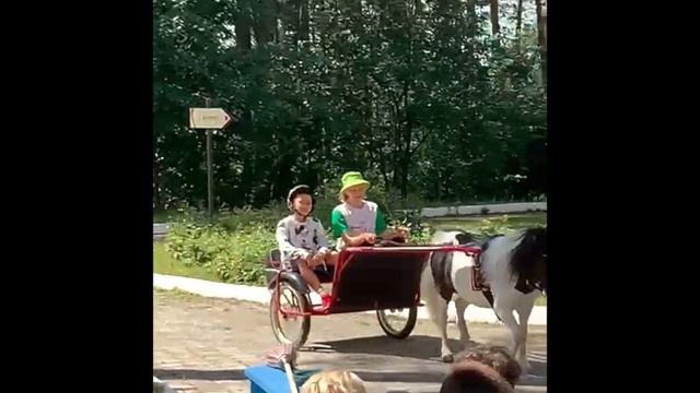 Баскетбол. Сборы Баскетбольный космос II.🚀🚀 смотреть онлайн