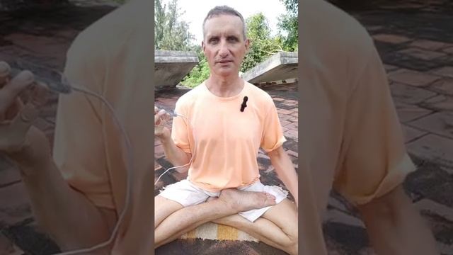 Таттва бодха - 14. Ади Шанкарачарья. Лекция - перевод Маха Влад. 17.12.2023 смотреть онлайн