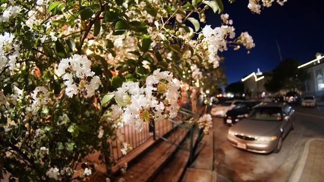 Review - 7Artisans 7.5mm F2.8 Fisheye Fixed Lens смотреть онлайн
