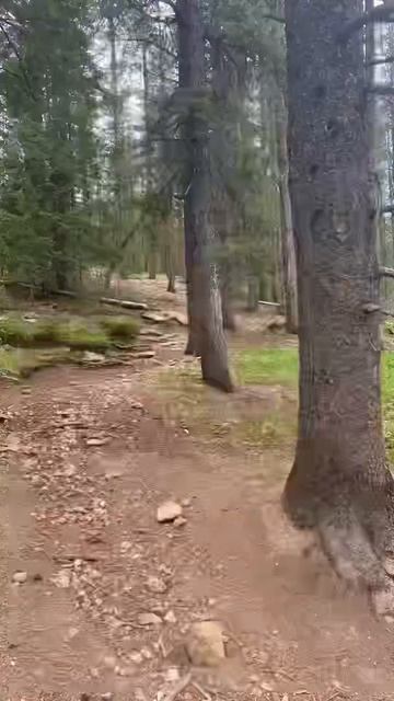 Maxwell Falls trailhead - Conifer, CO смотреть онлайн