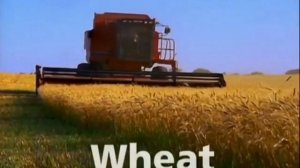 Baby Einstein - Baby MacDonald (2009) (Grow With Me)