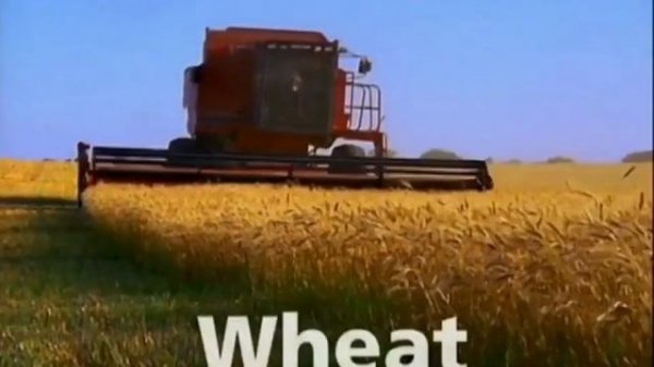 Baby Einstein - Baby MacDonald (2009) (Grow With Me)