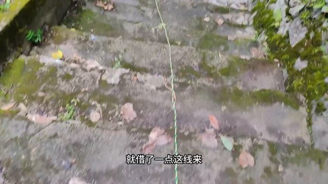 暴雨后门口大树倒了，苗大姐砍刀电锯全用上，搞了一身臭味 смотреть онлайн