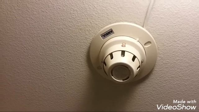 Mini System Test 15| Vibrating vs. Electronic смотреть онлайн