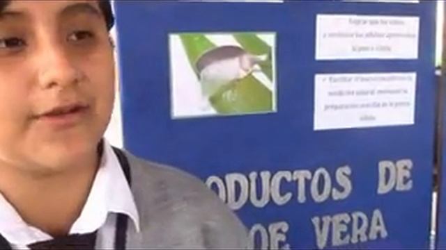 CANAL 33: FERIA DE CIENCIAS EN LA I E VICTOR RAUL HAYA DE LA TORRE DE ROMA смотреть онлайн