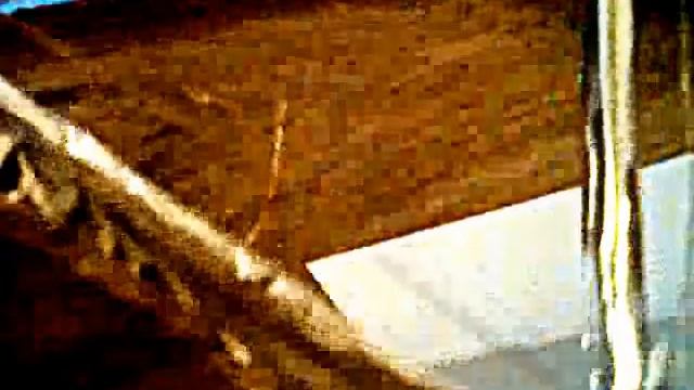 My Edited Video смотреть онлайн