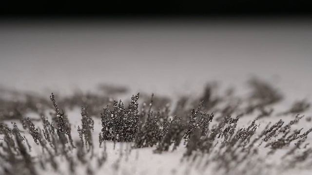 Magnetic Macro Video смотреть онлайн