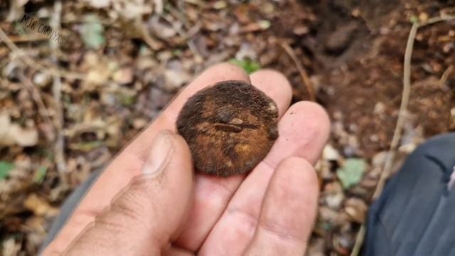 WWII Metal Detecting summer 2023 смотреть онлайн