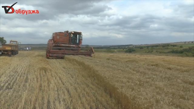 Дъждовете след 25 април ще са решаващи за есениците смотреть онлайн