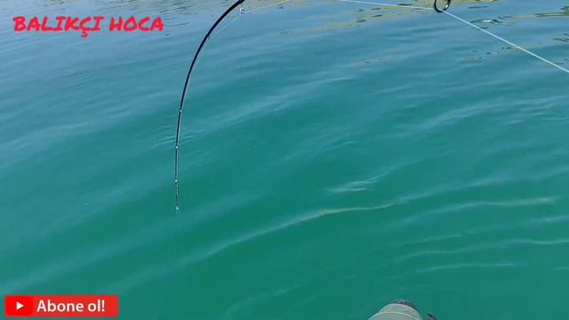 ORTAĞIM FATİH'İN HARİKA TROFESİ (10.600 KĞ) / ŞABUT / BARBUS GRYPUS смотреть онлайн
