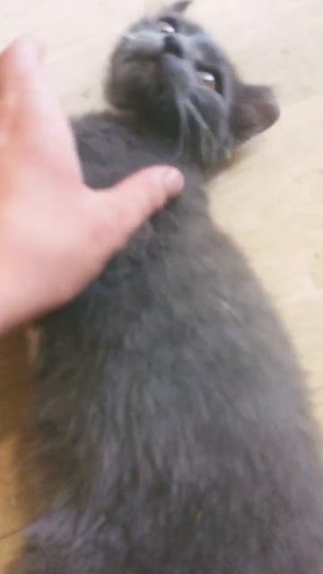 18 июля 2024 г. смотреть онлайн