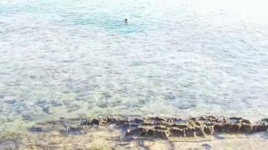 Отель Сива Шарм