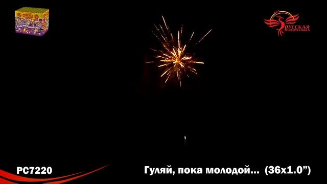 PC 7220 Гуляй, пока молодой... (1"х 36 залпов) смотреть онлайн