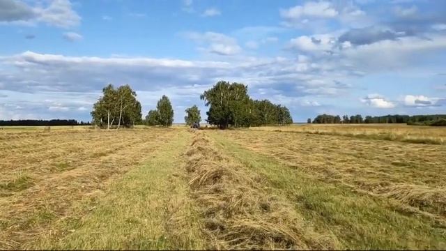 Грабли колесно-пальцевые ГВС-6 смотреть онлайн