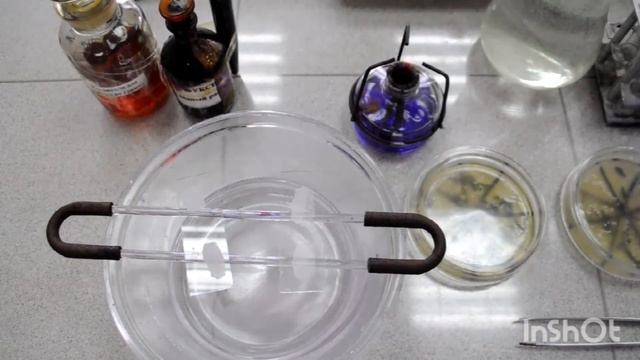 Биология 11 сынып Бактерияларды Грам әдісі бойынша бояу.Зертханалық жұмыс # 12. смотреть онлайн