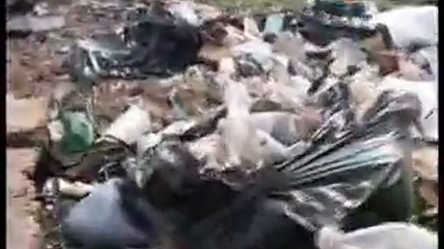 Свалки и рубки смотреть онлайн