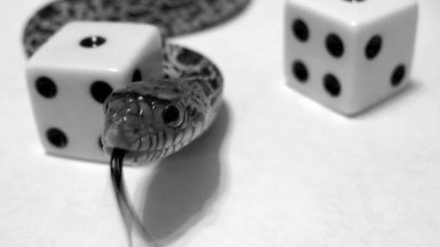Offkey - Snake Eyes смотреть онлайн