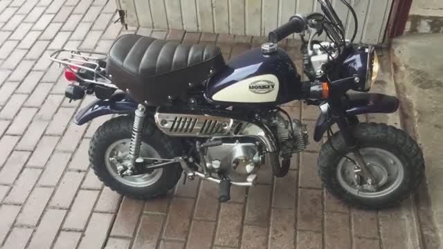 Honda Monkey.mp4