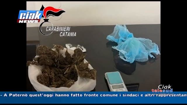 Ciak News 01-12-2022 смотреть онлайн