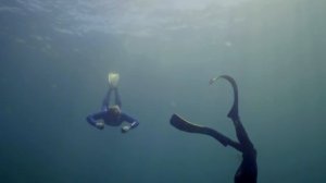 Путешествия с Гордоном Рамзи 3 сезон 4 серия «Прибрежные приключения в Хорватии» (сериал, 2019)