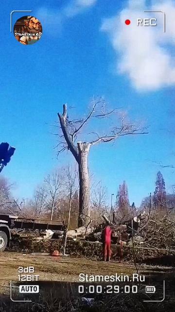 Благоустройство.mp4 смотреть онлайн