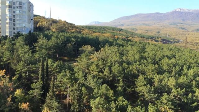 Crimea. Alusta. 2014