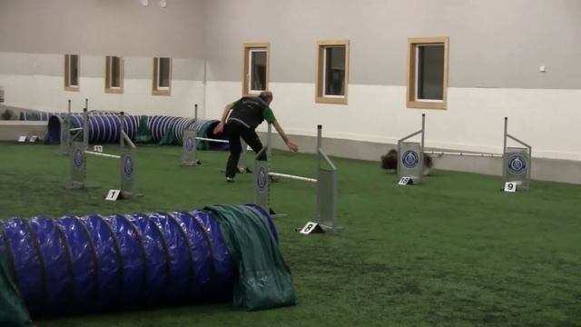 "Mandagsgjengen" Trener Agility - Handling смотреть онлайн