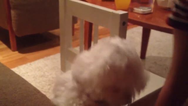 Milli and luna смотреть онлайн