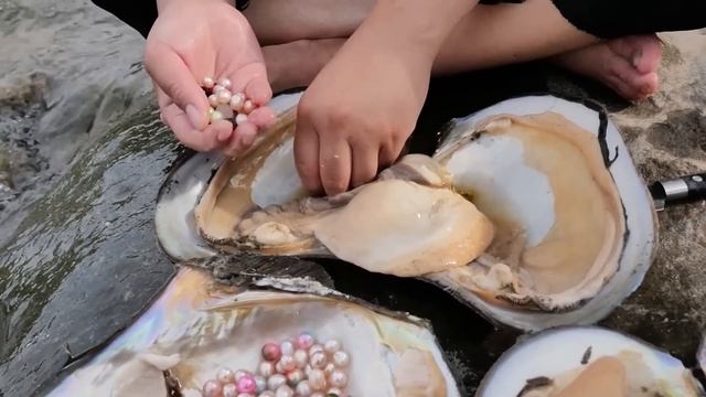 Pretty colours and such beautiful lustre, rounded pearls appear when the mussels are opened смотреть онлайн