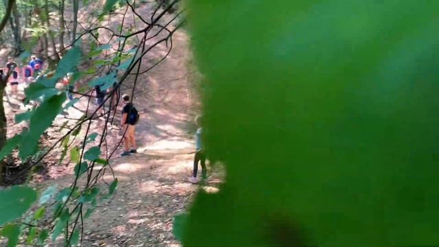 Релакс на Фрушка горе | Путешествие с Улетными Эмоциями смотреть онлайн