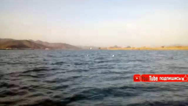 НА РЫБАЛКЕ ИЗДЕВАЕМСЯ НАД ЧАЙКАМИ смотреть онлайн