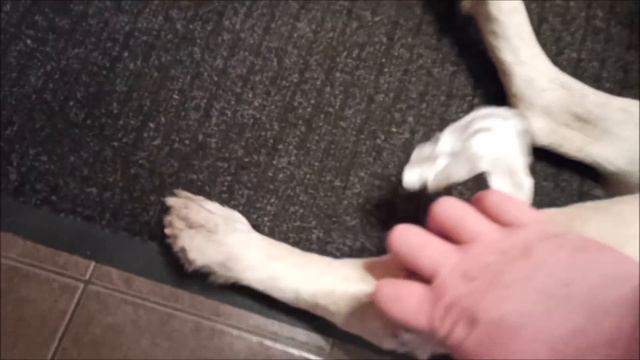Дядя! Ну ка быстро помыть королевну! смотреть онлайн
