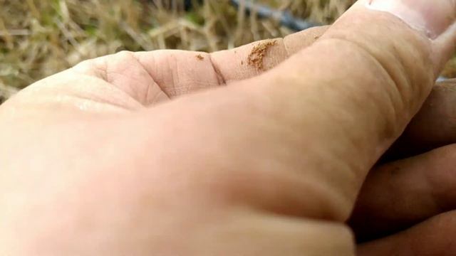 По выбитым местам с Квазаром. смотреть онлайн