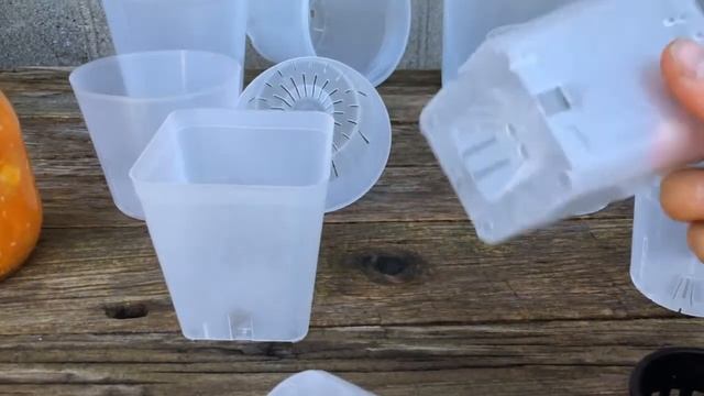 Plastic Orchid Pots смотреть онлайн