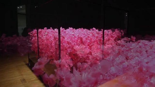 Pink Hysteria, 2018 by Choe U-Ram 최우람 смотреть онлайн