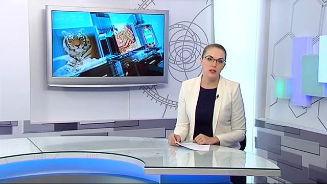 Новости 20 12 2019 смотреть онлайн